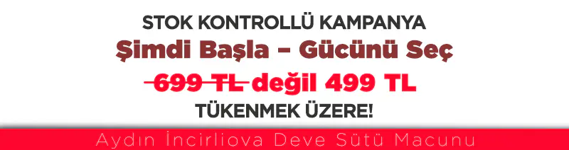 İncirliova Deve Sütü Karışımı Macunu