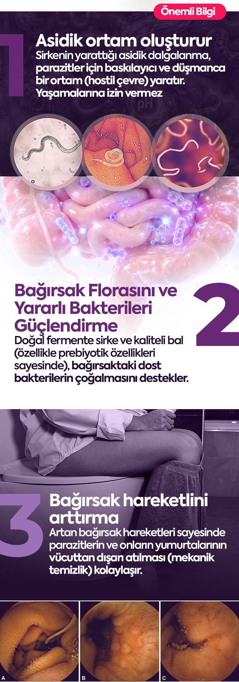Sirkengebin Macun