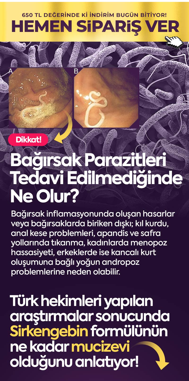 Sirkengebin Macun