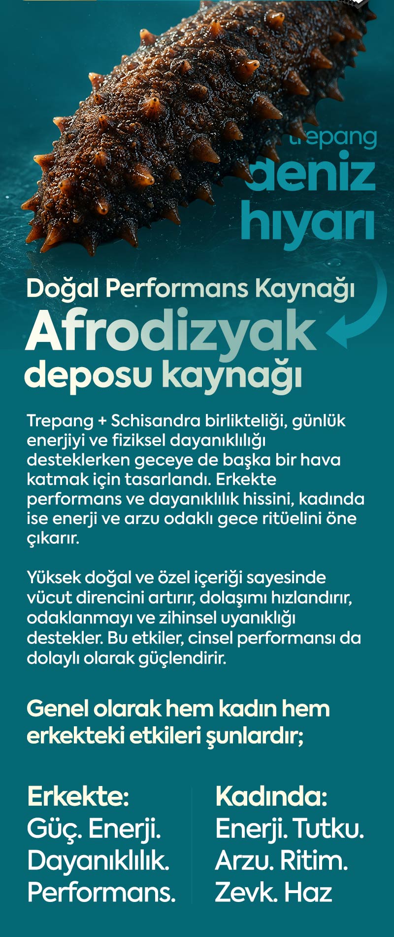 Doctor More Şurubu