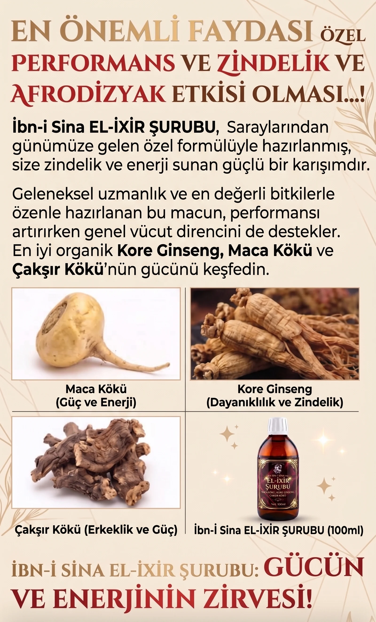 İbn-i Sina Elixir Şurup Resmi Satış Portalı