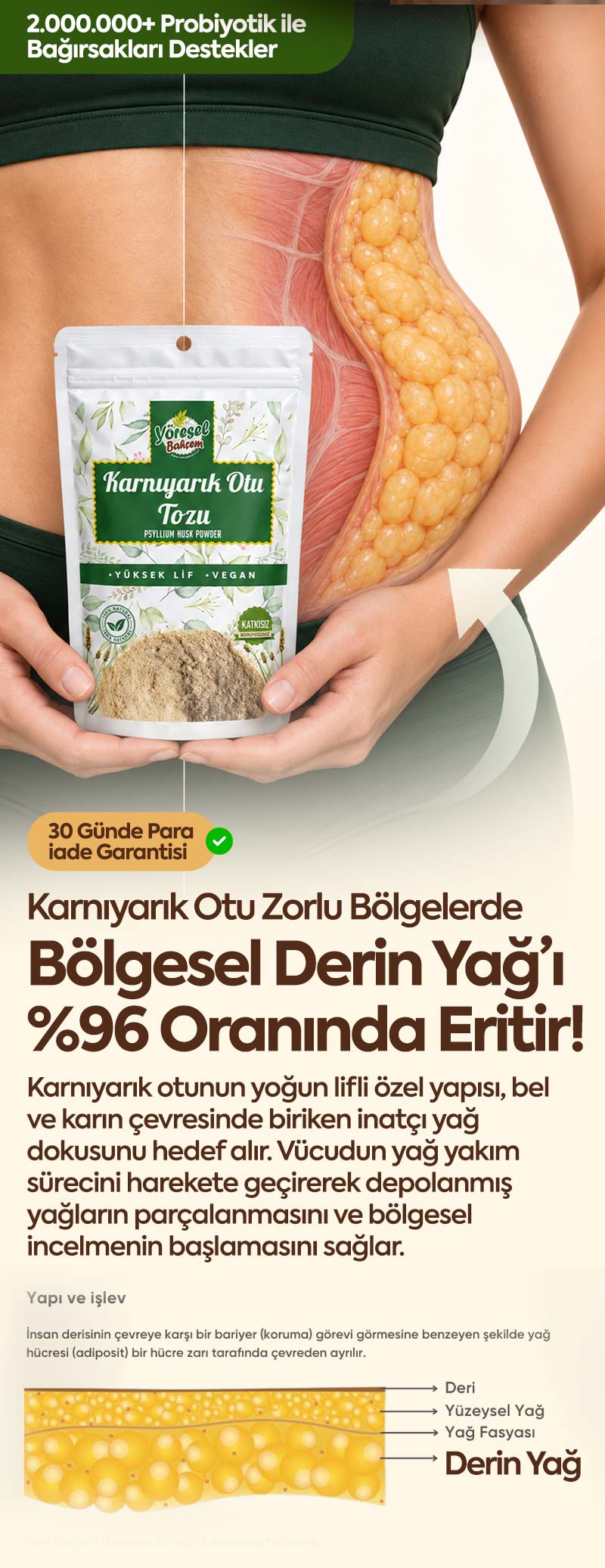 Karnıyarıkotu Tozu 
