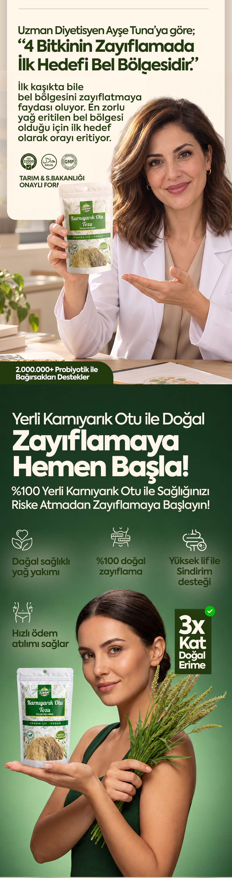 Karnıyarıkotu Tozu 