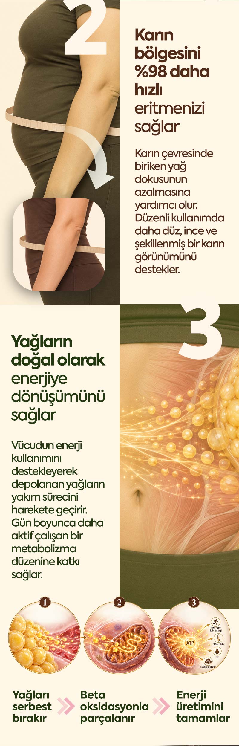 Karnıyarıkotu Tozu 
