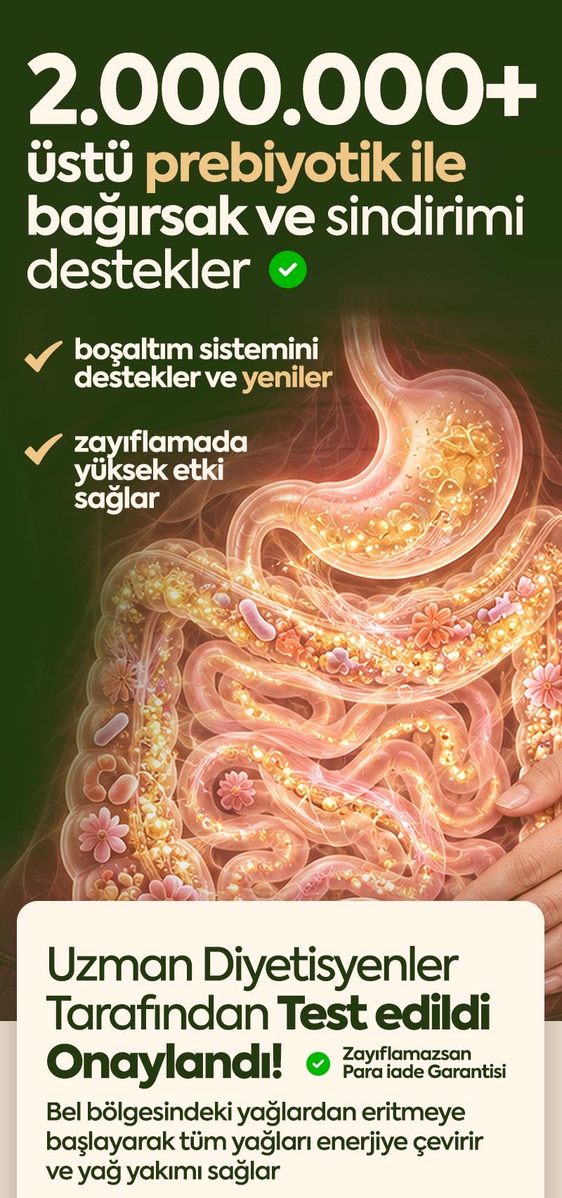 Karnıyarıkotu Tozu 
